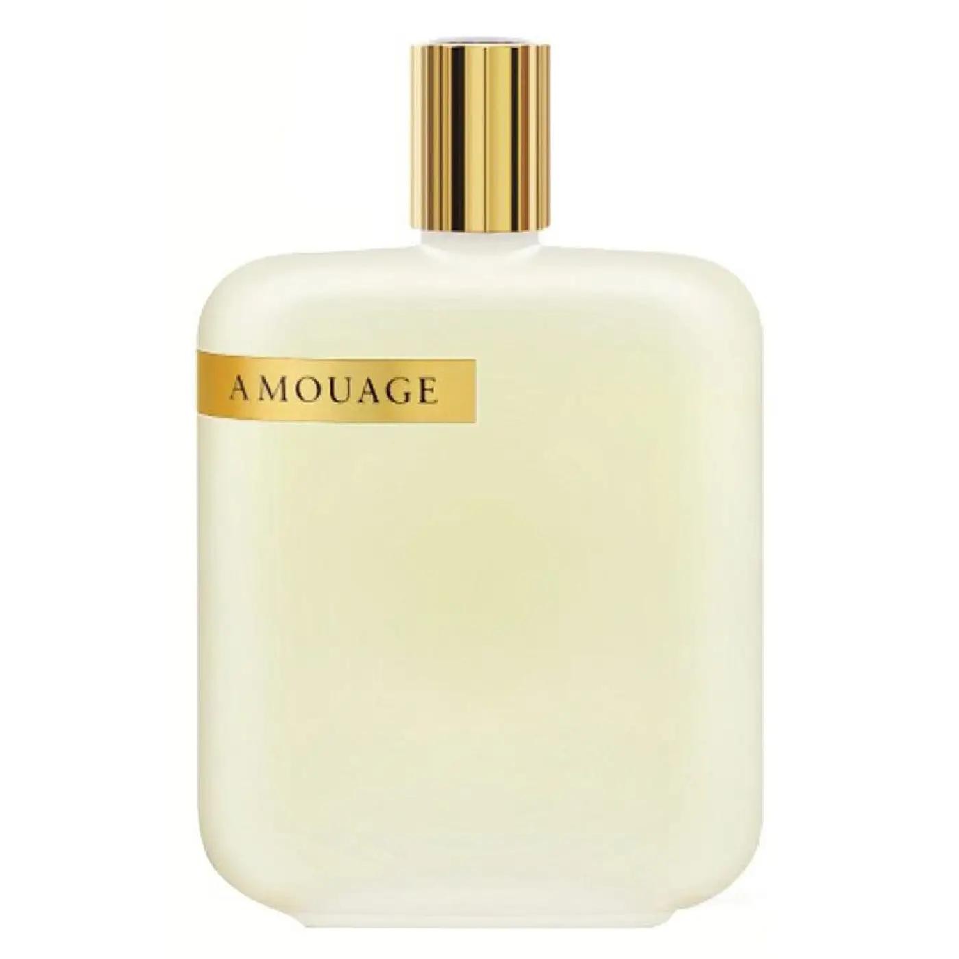 AMOUAGE-LIBRARY-COLLECTION-OPUS-II-UNISEX-EDP-100ml-