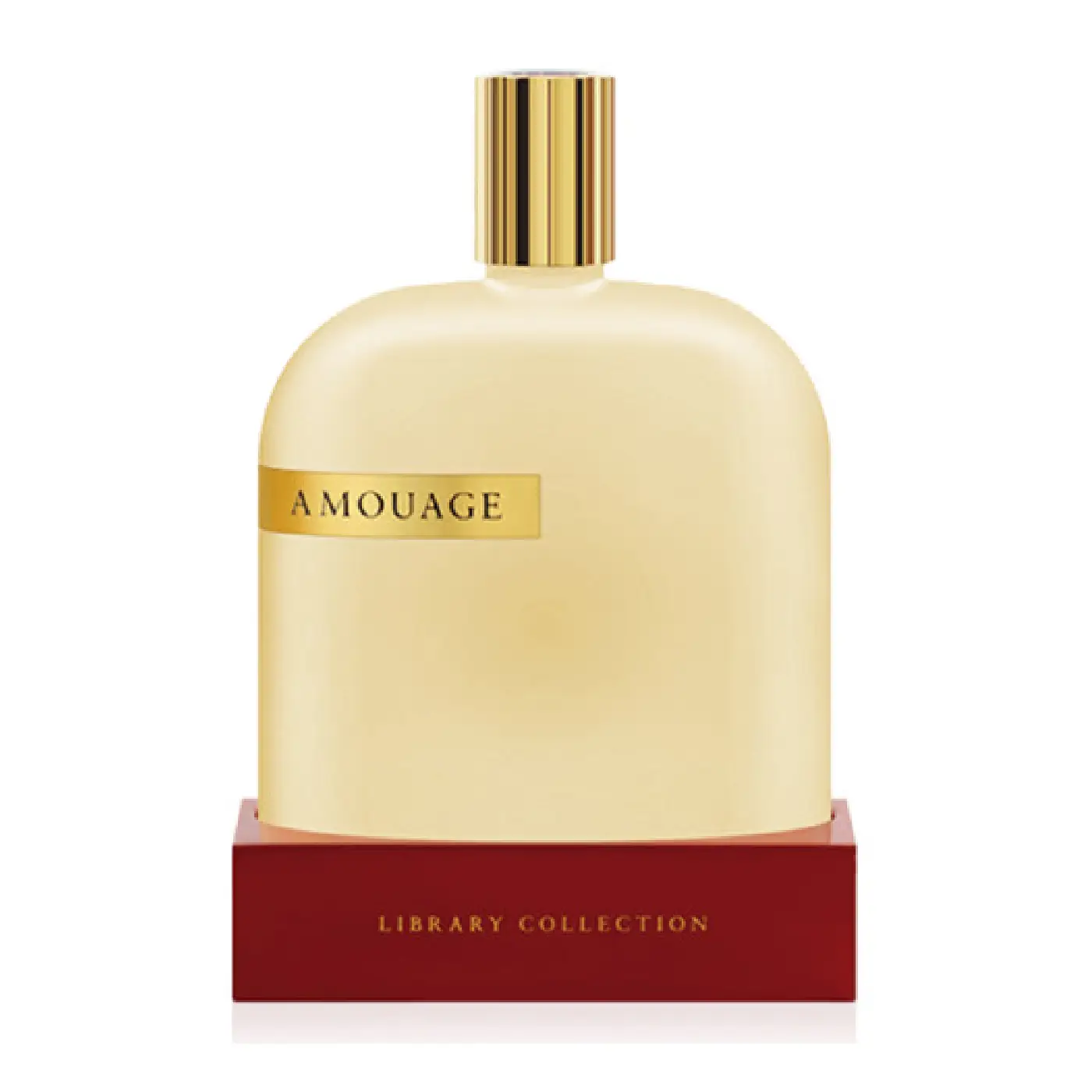 AMOUAGE-LIBRARY-COLLECTION-OPUS-IV-UNISEX-EDP-100ml.