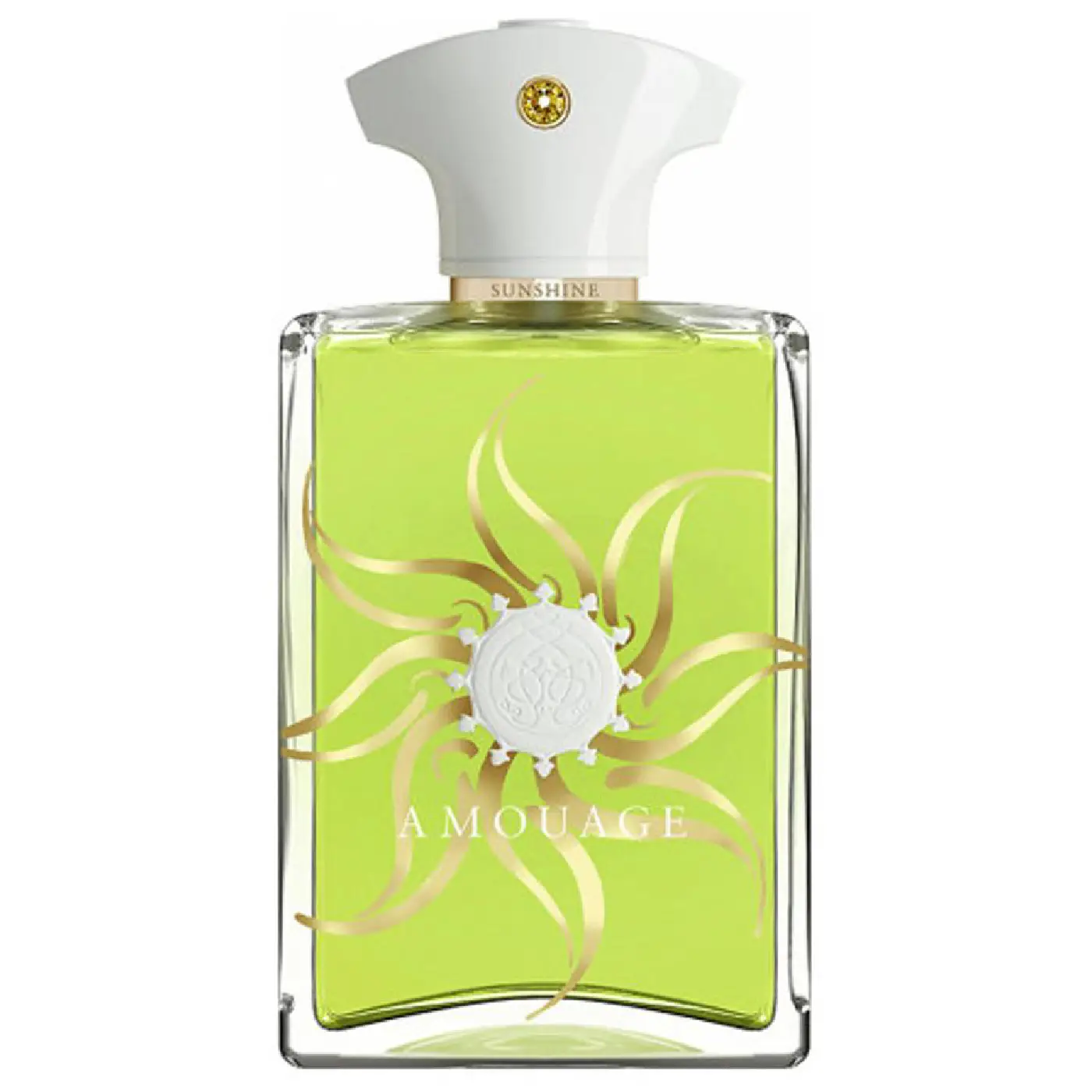 AMOUAGE-SUNSHINE-M-EDP-100ml.